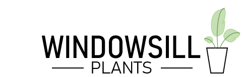 Windowsill Plants